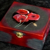 Coquelicots