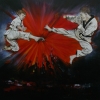 Taekwondo !!