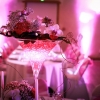 Vase martini et orchidées