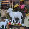 Vitrines de Pâques pour une boucherie