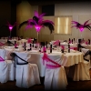 Mariage cabaret noir fuchsia