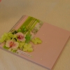 Livre d'or vert et rose tendre