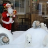 Vitrine de Noël en Laponie