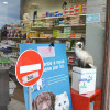 Vitrine mettant en avant un produit contre les puces et tiques