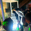 Bar à Champagne, pyramide de flutes illuminées