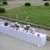 Décoration du vin d'honneur, fleurs naturelles  au Domaine de Vermoise