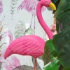 Flamand rose