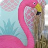 Flamands-rose-et-ananas