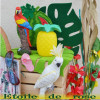 Vitrines Douceurs-exotiques