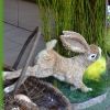 Vitrine de Paques traditionnel