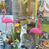 Vitrine Carnaval des animaux