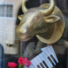 Vitrine Carnaval des animaux