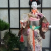 Vitrine voyage en Asie