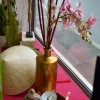Vitrine voyage en Asie