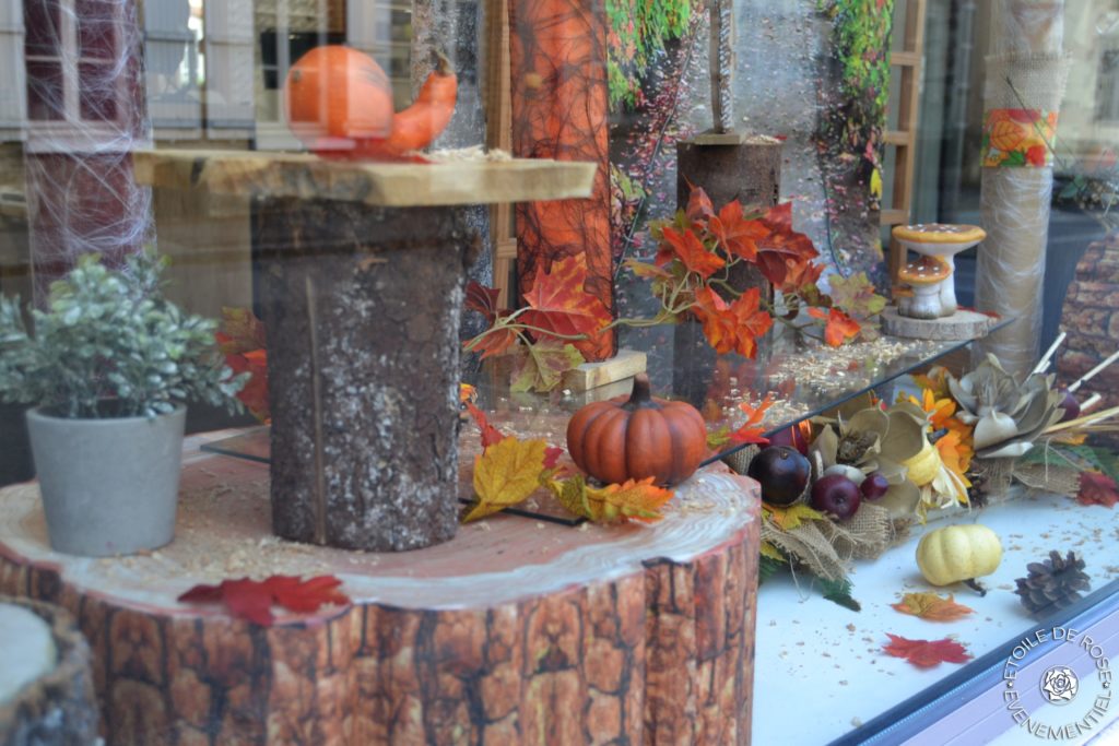 Vitrine d'Automne